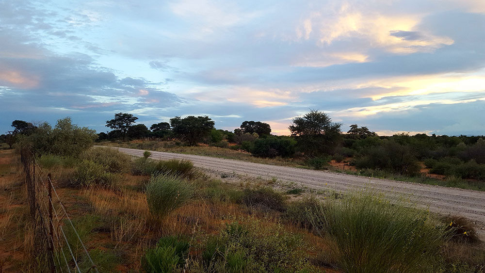 Camping Site 5